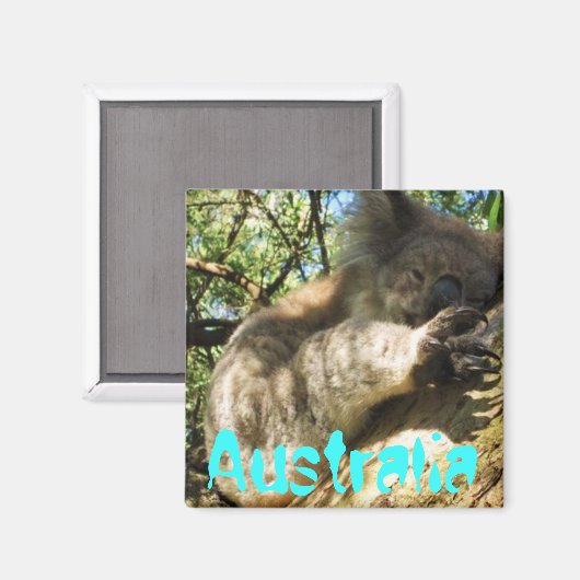Funny niedlich Australia Koala Magnet Design (Vorderseite/Rückseite)