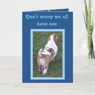 Funny & Niedlich Basset Hound Geburtstagskarte Karte