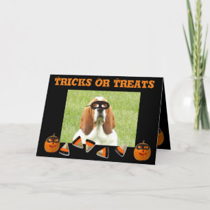 Funny & Niedlich Basset Hound & Pumpkin Halloween Karte