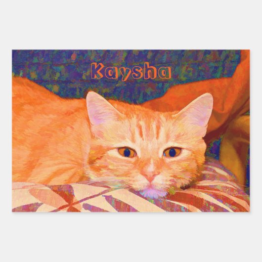 Funny Niedlich Bright Orange Tabby Cat Geschenkpapier Set (Vorderseite 2)