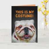 Funny Niedlich Bulldog Halloween Karte (Gelbe Blume)