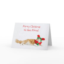 Funny Niedlich Cat Christmas Moving Neue Adresse