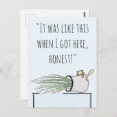 Funny Niedlich Cat klopfen Dinge über Postkarte (Vorne/Hinten)