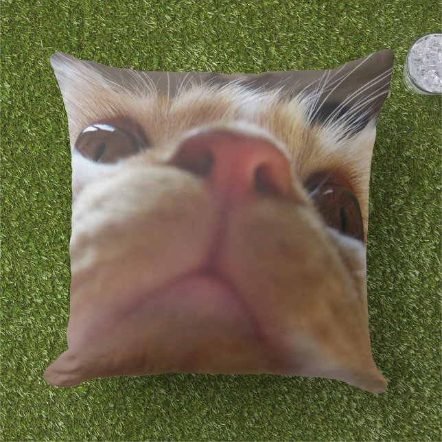 Funny Niedlich Cat Macro Eyes Kissen (Gras)