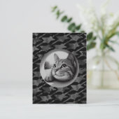 Funny Niedlich Cool Cat Was ist los Tiere Hallo Me Postkarte (Stehend Vorderseite)