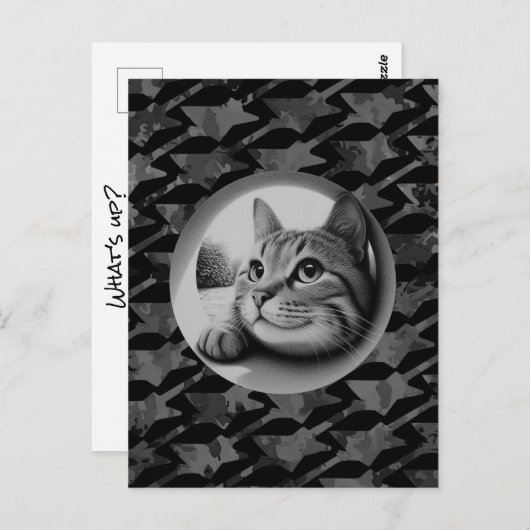 Funny Niedlich Cool Cat Was ist los Tiere Hallo Me Postkarte (Vorne/Hinten)