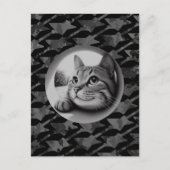 Funny Niedlich Cool Cat Was ist los Tiere Hallo Me Postkarte (Vorderseite)