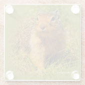 Funny Niedlich Curry Ground Squirrel Glasuntersetzer (Rückseite)
