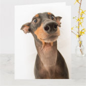 Funny Niedlich Doberman Puppy Dog Karte (Gelbe Blume)