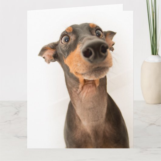 Funny Niedlich Doberman Puppy Dog Karte (Vorderseite)