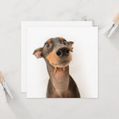 Funny Niedlich Doberman Puppy Dog Karte (Vorderseite/Rückseite Beispiel)