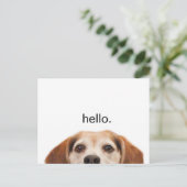 Funny Niedlich Dog Beagle Hallo Moderne Postkarte (Stehend Vorderseite)