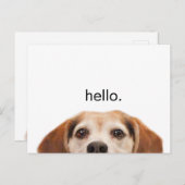Funny Niedlich Dog Beagle Hallo Moderne Postkarte (Vorne/Hinten)