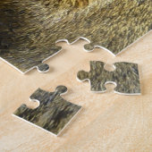 Funny Niedlich Eichhörnchen Fotografie Puzzle (Seite)