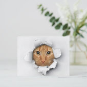Funny Niedlich Ginger Mackerel Tabby Cat Postkarte (Stehend Vorderseite)