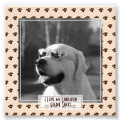 Funny Niedlich Golden Labrador Retriever FOTO bena (Vorne)