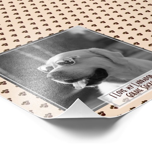 Funny Niedlich Golden Labrador Retriever FOTO bena (Ecke)