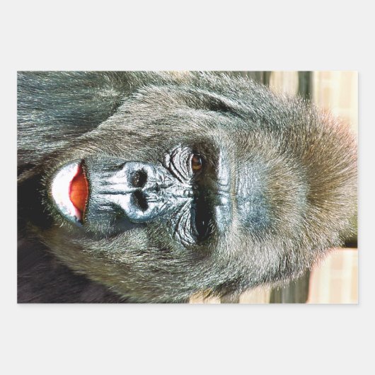 FUNNY NIEDLICH GORILLA GESCHENKPAPIER SET (Vorderseite 2)