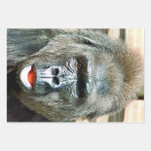 FUNNY NIEDLICH GORILLA GESCHENKPAPIER SET (Vorderseite 3)