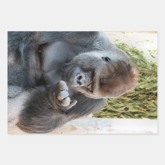 FUNNY NIEDLICH GORILLA GESCHENKPAPIER SET (Vorderseite 2)