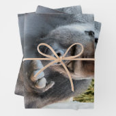 FUNNY NIEDLICH GORILLA GESCHENKPAPIER SET (Beispiel)