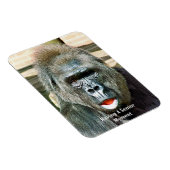 FUNNY NIEDLICH GORILLA MAGNET (Rechte Seite)