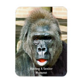 FUNNY NIEDLICH GORILLA MAGNET (Vertikal)