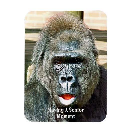 FUNNY NIEDLICH GORILLA MAGNET (Vertikal)
