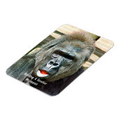 FUNNY NIEDLICH GORILLA MAGNET (Linke Seite)