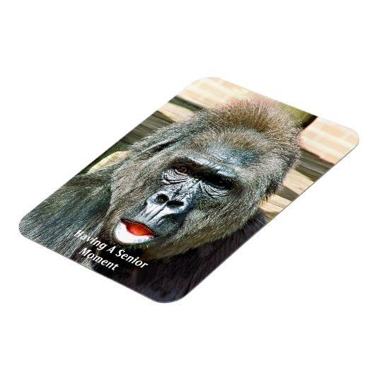 FUNNY NIEDLICH GORILLA MAGNET (Linke Seite)