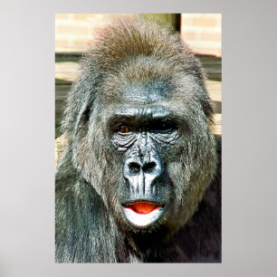 FUNNY NIEDLICH GORILLA POSTER