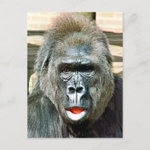 FUNNY NIEDLICH GORILLA POSTKARTE