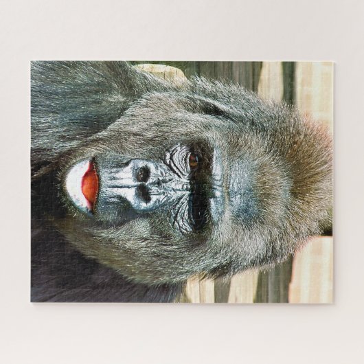 FUNNY NIEDLICH GORILLA PUZZLE (Horizontal)