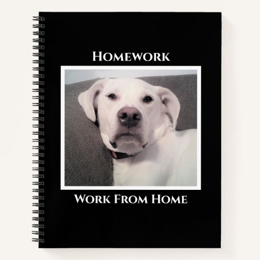 Funny Niedlich Grumpy White Dog Schwarze Hausaufga Notizblock (Vorderseite)