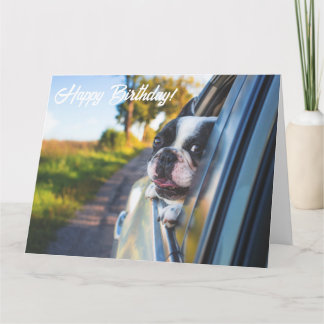 Funny Niedlich Happy French Bulldog Hund Geburtsta Karte