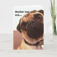 Funny Niedlich Humour Mops Hund Geburtstagskarte