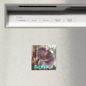 Funny niedlich koalär Australia Magnet (In Situ (Geschirrspüler))