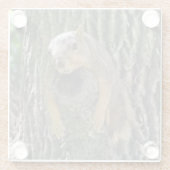 Funny Niedlich Lazy Eichhörnchen auf Baumzweig Glasuntersetzer (Rückseite)