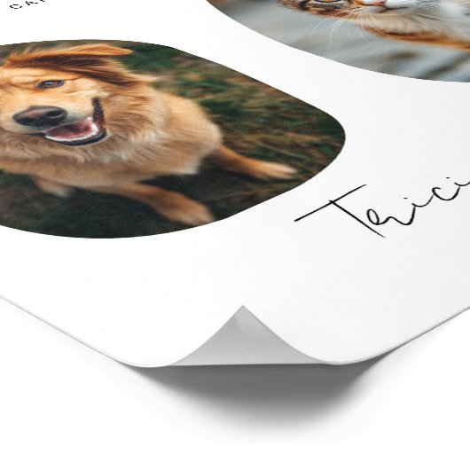 Funny Niedlich Pet Foto Open Bar Menu Hochzeitszei Poster (Ecke)