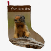 Funny Niedlich Saucy Columbian Ground Eichhörnchen Großer Weihnachtsstrumpf (Vorderseite)