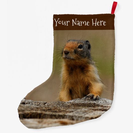 Funny Niedlich Saucy Columbian Ground Eichhörnchen Großer Weihnachtsstrumpf (Rückseite)