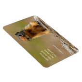 Funny Niedlich Saucy Columbian Ground Eichhörnchen Magnet (Rechte Seite)