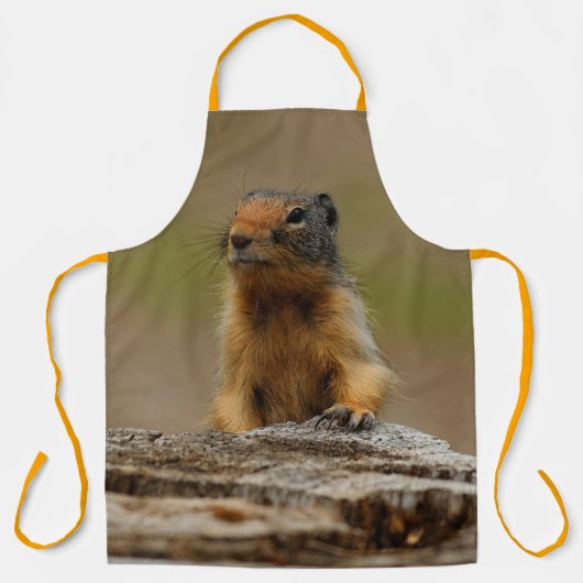 Funny Niedlich Saucy Columbian Ground Eichhörnchen Schürze (Vorderseite)