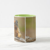 Funny Niedlich Saucy Columbian Ground Eichhörnchen Tasse (Zentrum)