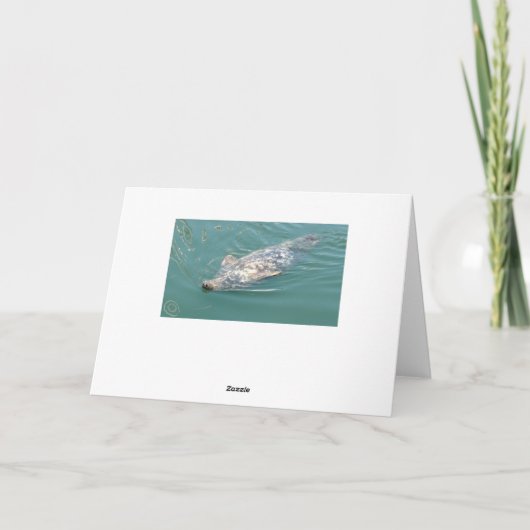 Funny Niedlich Siegel Happy Birthday Card Karte (Rückseite)