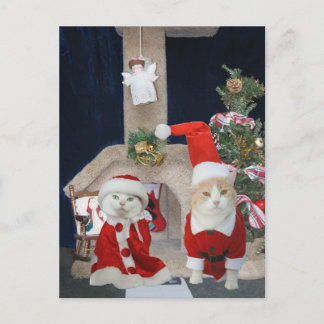 Funny/Niedlich Weihnachten Kitty Condo