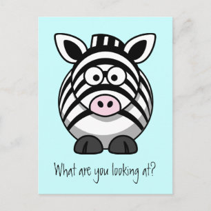 Funny Niedlich Zebra Postcard Postkarte