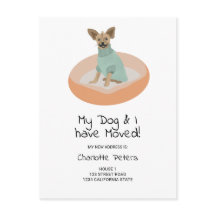 Funny niedliche chihuaha Hundeillustrierung bewegt