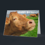 Funny Niedliche Kuh Happy Birthday Karte<br><div class="desc">Dieses Design zeigt ein lustiges Bild einer Kuh! Ideal für besondere Anlässe wie Geburtstage,  Jubiläen und mehr. Wenn Sie das Design durch Ändern der Nachricht,  des Alters oder des Schriftartes personalisieren möchten,  klicken Sie auf "Design bearbeiten".</div>