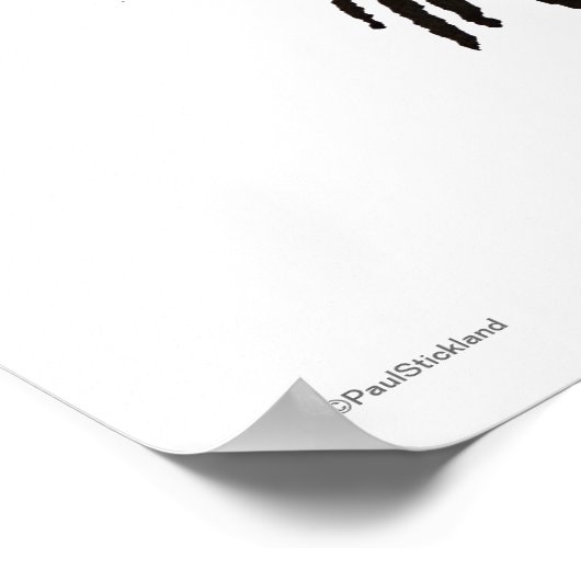 Funny Night Owl Poster (Ecke)